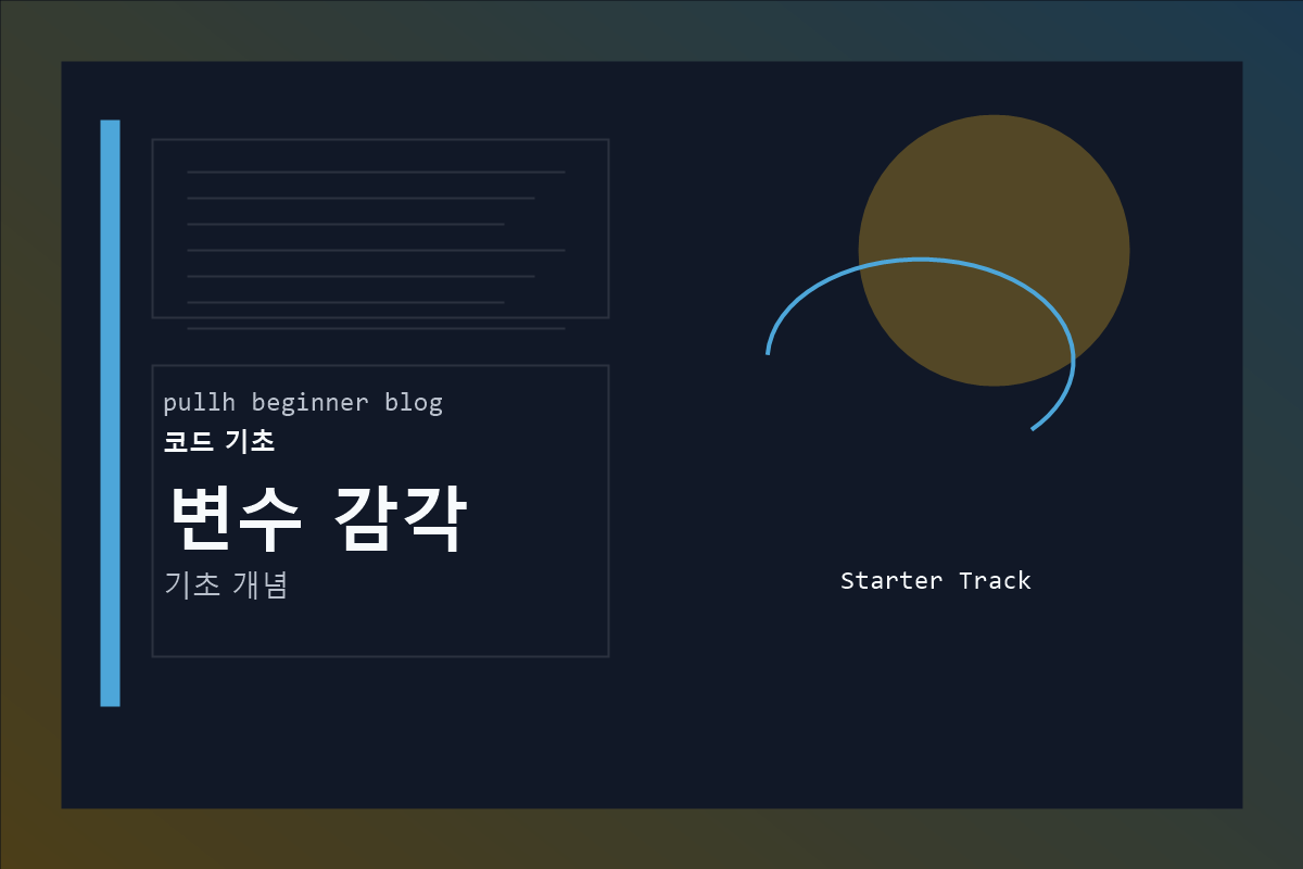 변수 감각 커버 이미지